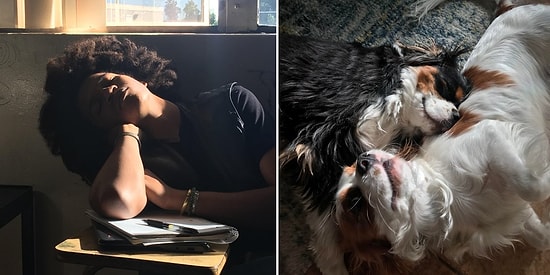 24 кадра, случайно ставших похожими на эпоху Ренессанса