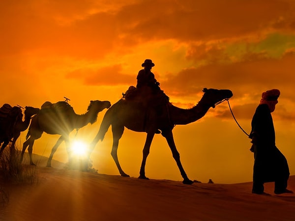 4. А самая большая пустыня на планете?