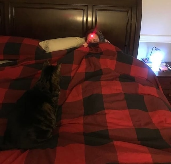 6. Мужской подход к игре с котейкой.