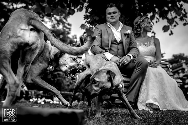 15. Фото: Karel Hulskers