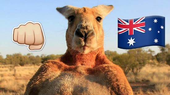 Тест: Что вы вообще знаете про Австралию?
