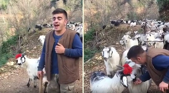 Rizeli Çobandan Muazzam 'Issız Kaldı Virane Dağlarım' Türküsü Performansı