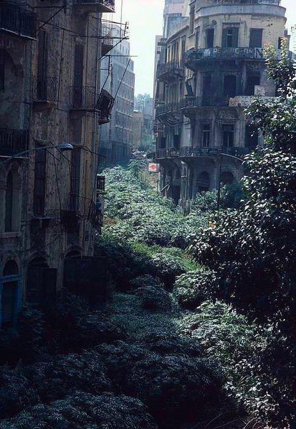16. Yeşil çizgi sınır bölgesi, Beyrut, Lübnan, 1982