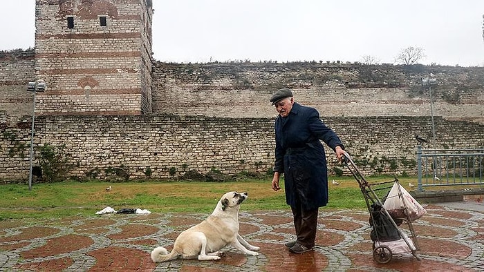 30 Yıldır Sokak Hayvanlarını Besleyen Celal Amca: 'Hayvanlara Bakanların Düşmanı Çok, Dostu Yok'