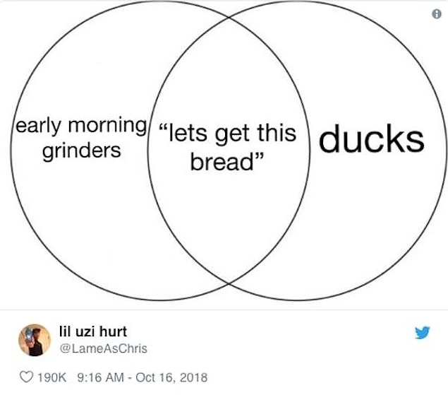 31.