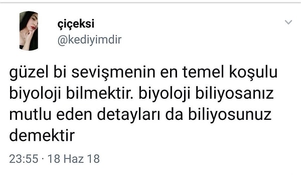 5. "Sekste 'iyi' veya 'kötü' gibi kesin tanımlar vardır."