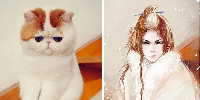 Китайская художница показала, как бы выглядели кошки, если бы были персонажами из аниме