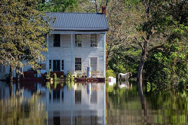 Kuzey Carolina eyaletinde gerçekleşen Florence Kasırgası sonrasına ait bir sel baskını.