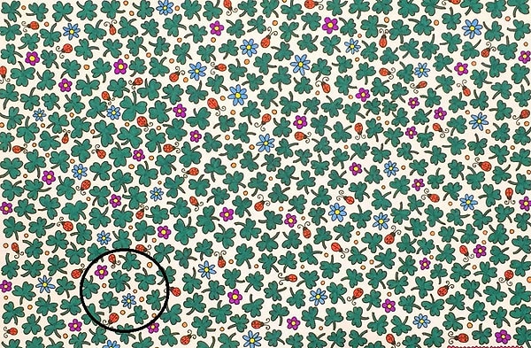 Вот он где спрятался