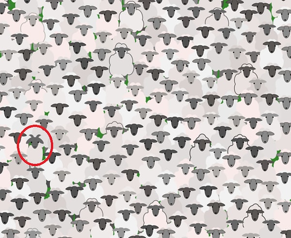 Ну вот же она!