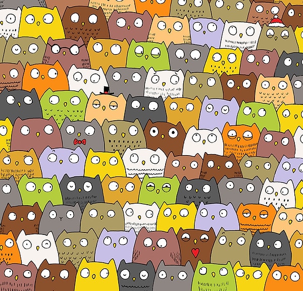 5. А здесь мы ищем кота