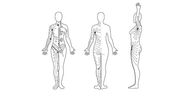 Relieves cough and stimulates lymphatic drainage
