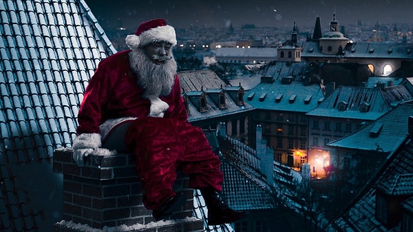 1. Zомбоящик