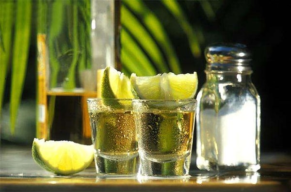 20. Из какого растения производят текилу?