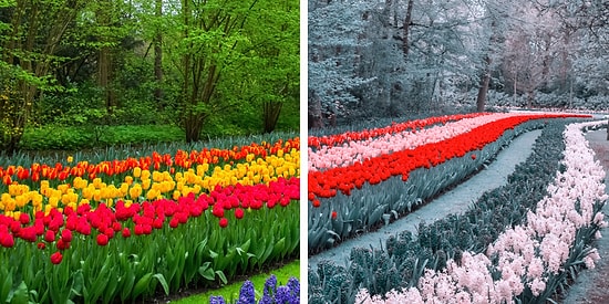 Тест: А не дальтоник ли вы часом?