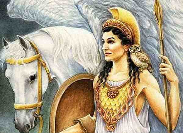 8. Назовите священное дерево богини Афины.