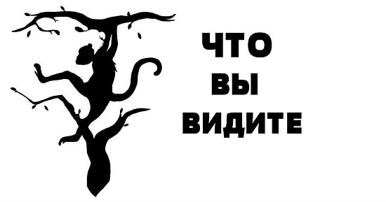Тест: То, что вы увидели первым, расскажет, какое полушарие мозга у вас доминирует