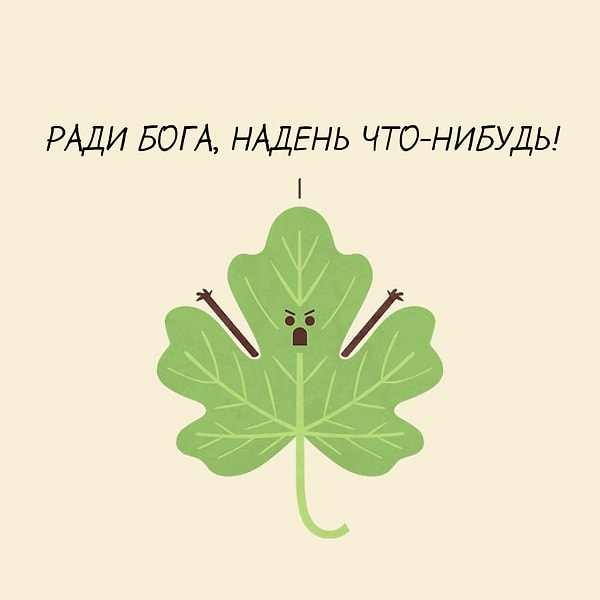 11. Фиговый лист