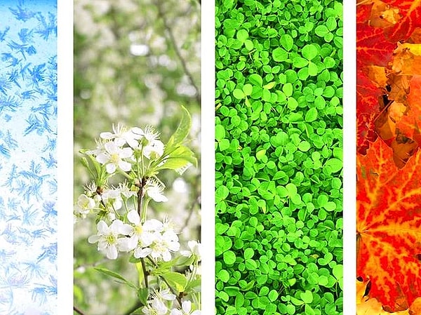 7. В какое время года ваша душа поет?