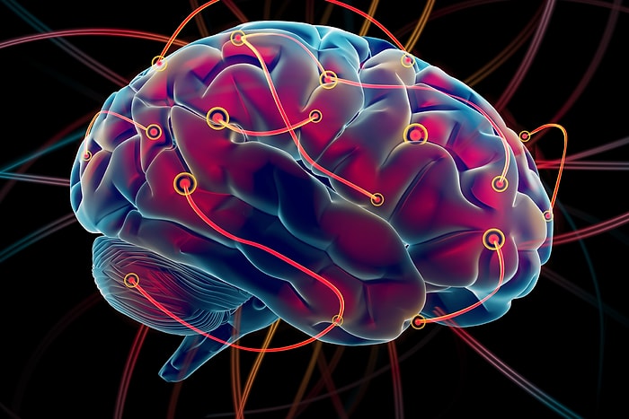 Тест: Какого цвета ваш мозг, и что это означает?