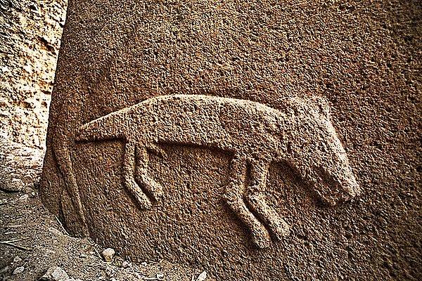 6. Bitki toplamanın yanı sıra hayvan avlayan insanlar mağara duvarlarına hayvan figürleri resmetmişti. Hayvan figürlerinin kabartmalı ve tek şekilde yapılması sanatsal bakışlarının farklılığını da ortaya koyuyor bu şekilde.