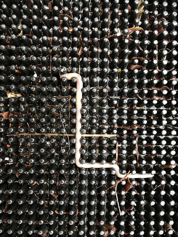 8. Этот человек нашел червя, ползающего по коврику. Никакую старую игру не напоминает?