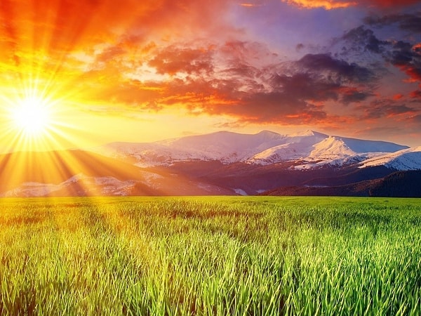 11. За какое время свет Солнца достигает Земли?