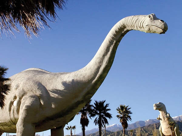 5. Останки бронтозавра были впервые обнаружены в Ирландии