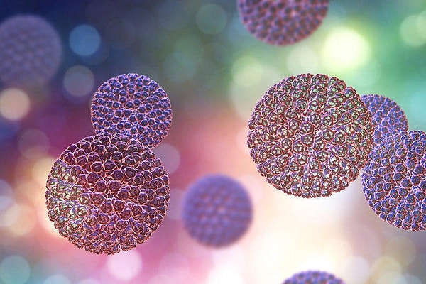 8. Как правильно?