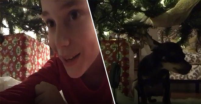 Yılbaşı Ağacının Altına Kamera Yerleştirerek Noel Baba'yı Yakalamayı Hayal Eden Gencin Kaydettiği Efsane Görüntü!