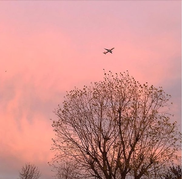 19. Розовый закат