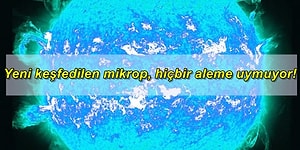 Yakın Zamanda Gerçekleşen Bu Bilimsel Gelişmelerle Ufkunuzu 2 Dakikada Uzaya Çıkartıyoruz!