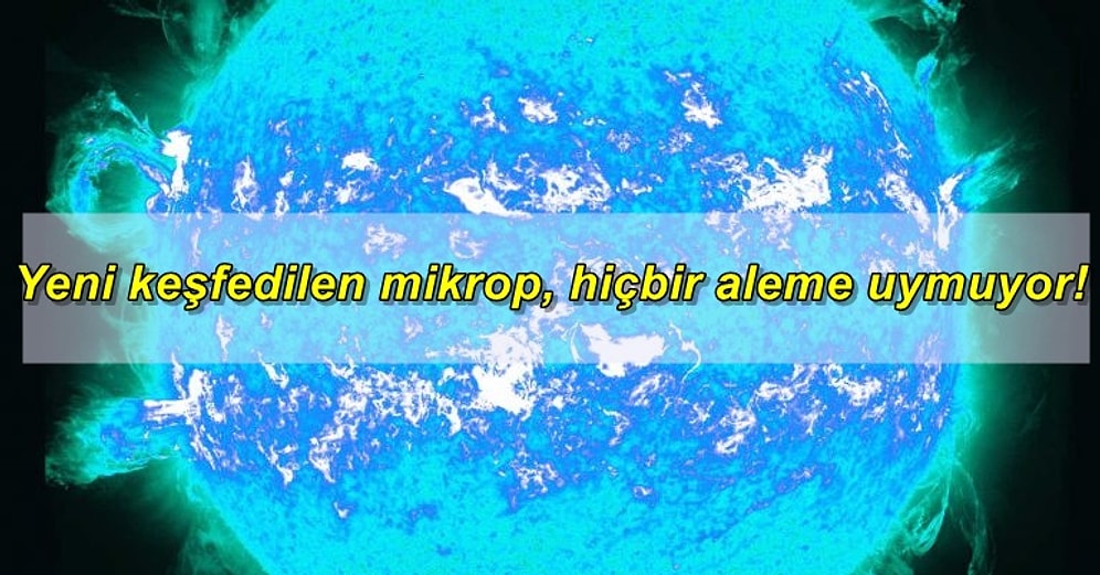 Yakın Zamanda Gerçekleşen Bu Bilimsel Gelişmelerle Ufkunuzu 2 Dakikada Uzaya Çıkartıyoruz!