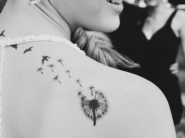 Горы и Птицы