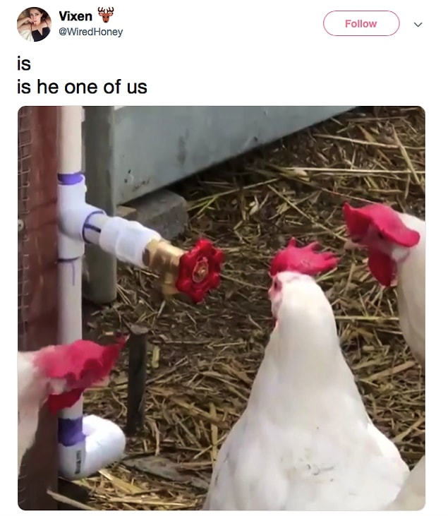 2.
