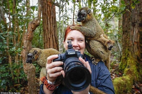 5. Madagaskar, Afrika'daki bu lemurlar fotoğrafçıya selam vermeye karar vermişler!