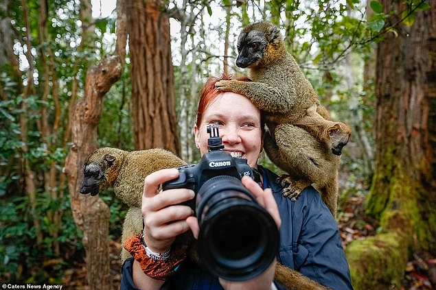 Madagaskar, Afrika'daki bu lemurlar fotoğrafçıya selam vermeye karar vermişler!