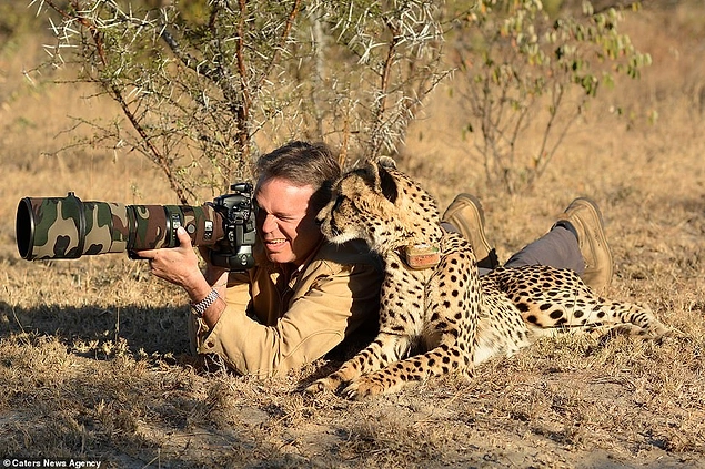 Mtombi isimli çita Chris Du Plessis'e fotoğrafçılıkta yardım eli uzatmaya karar vermiş. 😍😍