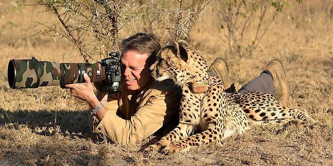 Onları Hiç Böyle Görmediniz! Tatlı ve Meraklı Hareketleriyle Fotoğrafçıların İşlerine Burnunu Sokan Vahşi Hayvanlar