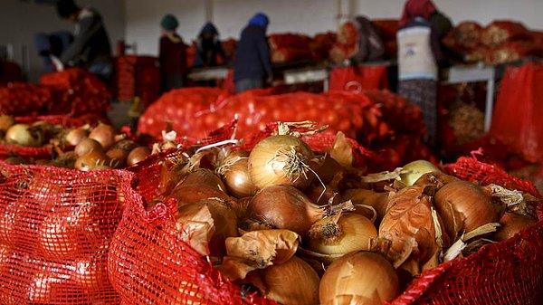 14. Fiyatı artan Antep Fıstığı, kuru soğan ve patateste ithalatı gündeme geldi. Savaşın sürdüğü Suriye’den patates ithal edildi. Yılın son günlerinde ise soğan fiyatının yeniden artması üzerine soğan depolarına yapılan baskınlar çok tartışıldı.