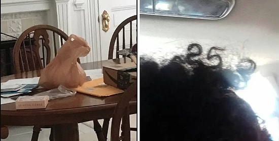 Günlük Hayatın İçinde Yakaladığı Küçük Mucizeleri Fotoğraflayan Kişilerden 20 Gülümseten Paylaşım