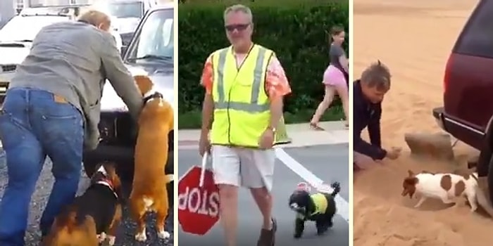 Size Kurban Olsunlar! İnsan ve Diğer Dostlarına Ellerinden Geldiğince Yardım Etmeye Çalışan Köpekler