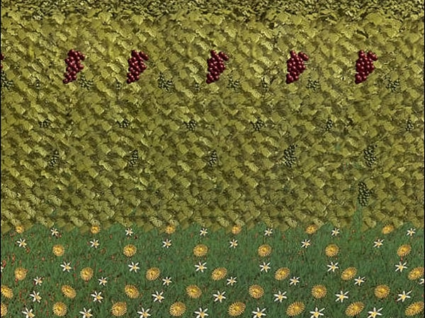 4. Что увидели?