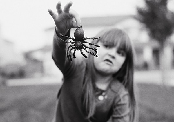 Вы боитесь пауков!