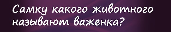 13. Вы близки к финалу. Вопрос на 250 000 рублей: