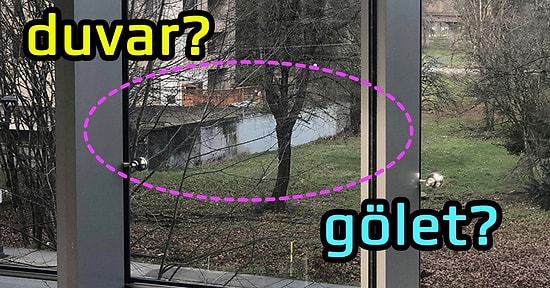 Duvar mı Gölet mi? Tabaklar Ters mi Düz mü Tartışmasından Sonra Sosyal Medya Yine İkiye Ayrıldı