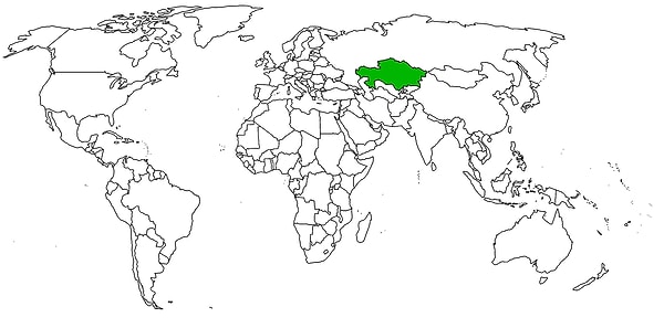 4. Какая страна отмечена на карте?