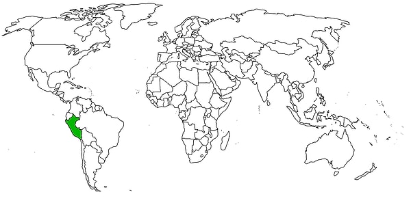 6. Какая страна отмечена на карте?