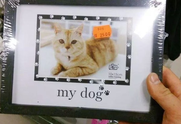 1. Наверное, это какая-то особая порода собак