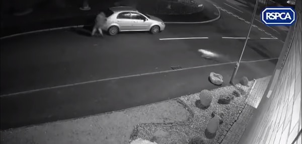 ...Я не понимаю, как этот человек мог сделать нечто подобное....